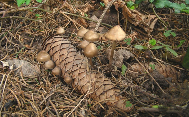 Escursione trentina con amara sorpresa